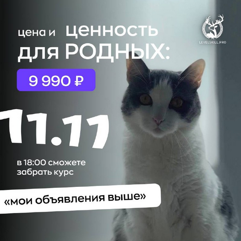 [Владимир Шамо] Мои объявления выше. Курс по авито_0.png